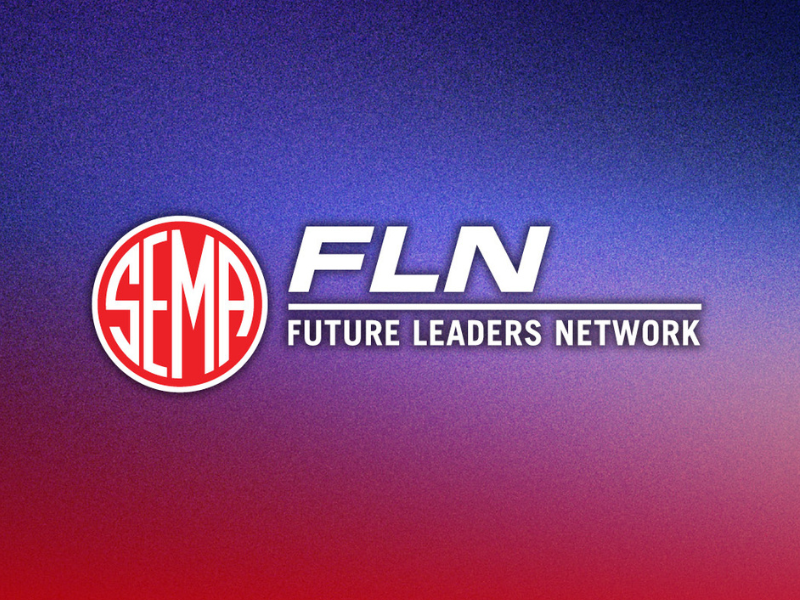 Future Leaders Network logo on a gradient background